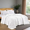 Peace Nest Ultra-Lightweight Down Blanket with Satin Trim - 2 of 4