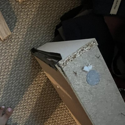 Guest review image 1 of 6, zoom in