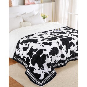 Heated Blanket Queen Size 84"x90", 10 Heat Levels & 10 Hours Auto-Off, Queen Electric Blanket with Dual Controls, ETL Certified, Perfect Gift for - 1 of 4