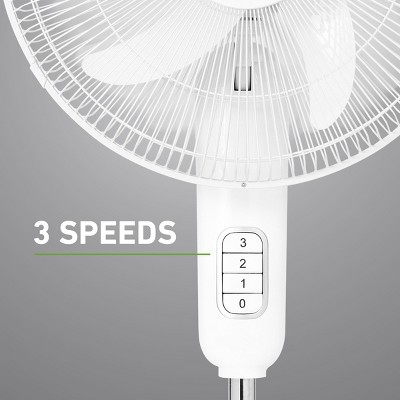 https://target.scene7.com/is/image/Target/GUEST_6b8bec9a-89f8-4bb6-b67f-69b8c7c68740