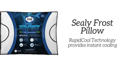 Sealy  Dream Lux Soft Support Pillow