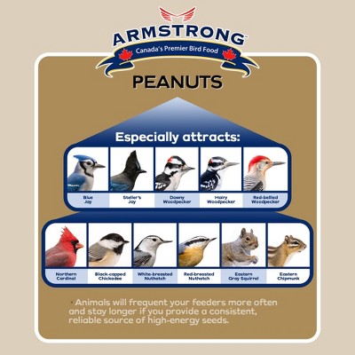 Armstrong Wild Bird Food Shelled Peanut Halves, 4.4 Pounds