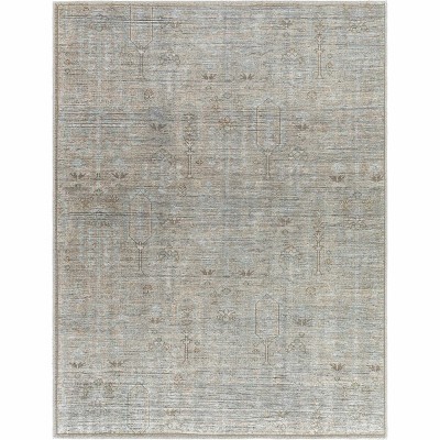 Hauteloom Aglaja Living Room, Bedroom Machine Washable Area Rug - Traditional