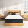 Dexmalle 8 Inch Hybrid Mattress, Individually Pocketed Innerspring - 3 of 4