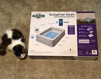 Petsafe Scoopfree Phone App Connected Smart Automatic Self cleaning Litter Box Target