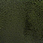 black and white-8*10ft