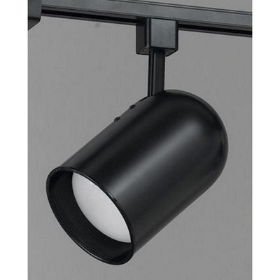 Cal Lighting 120V,75W,PAR30LN Track Head