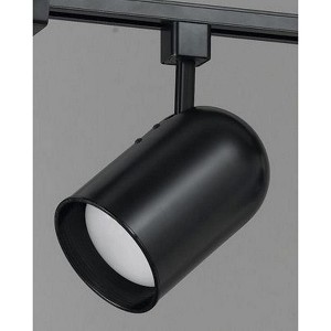 Cal Lighting 120V,75W,PAR30LN Track Head - 1 of 1