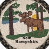 Earth Rugs New Hampshire Moose Printed Round Jute Trivet – 10" Rustic Wildlife Accent with Heat-Resistant Natural Braided Design - 3 of 3