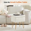Lirago Velvet Vanity Stool with Storage Accent Chair with Storage Cozy Faux Fur Cushion for Bedroom Living Room - 4 of 4