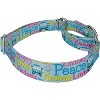 Country Brook Petz Martingale Dog Collar - Groovy Collection - 3 of 4
