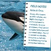 MasterPieces 100 Piece Jigsaw Puzzle - Orca - 11.1"x11.85" - 4 of 4