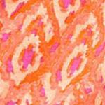 marmelade ikat - 5 ft 5 in & taller