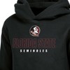 NCAA Florida State Seminoles Boys' Fleece Hooded Sweatshirt - 3 of 3