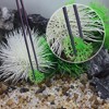 Unique Bargains Aquarium Tweezers Stainless Steel Tweezers for Plants Pets Multicolored 1 Pcs - 2 of 4