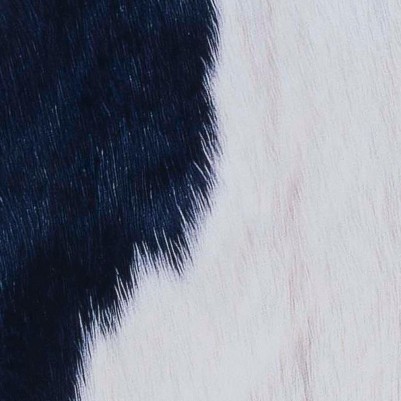 ivory/dark blue