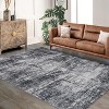Abstract Area Rug Living Room Rugs Indoor, Modern Soft Fluffy Washable Accent Carpet for Bedroom Kitchen Dining Room Floor - 2 of 4