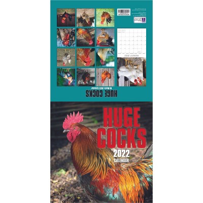 The Gifted Stationery 2021 - 2022 Chicken Monthly Wall Calendar, 16 Month, Nature Animals Birds Theme with Reminder Stickers, 12 x 12 in
