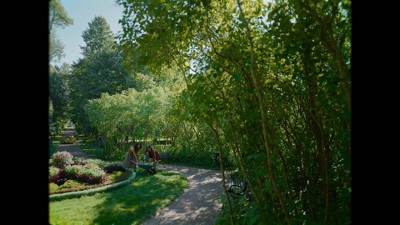 Ergo Heavy Duty Aluminum Garden Cultivator with Softgrip Handle