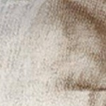 Deer Brown