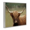 Stupell Industries Highland Cattle Shaggy Hair Country Animal Portrait Photography Framed Giclee Art - 2 of 4