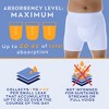 3-Pack Wearever Men’s Incontinence H-Fly Boxer Brief Maximum Absorbency - 3 of 4