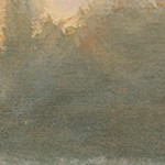 montalcino elm
