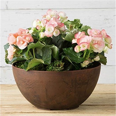 Napa 10-Inch Rust Plastic and Stone Bowl Planter