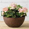 Novelty Indoor/Outdoor Artstone Napa Bowl Planter with Water-Minder - 2 of 4
