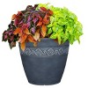 Set of 2 Corinthian Planters - Classic Home and Garden - 2 of 4