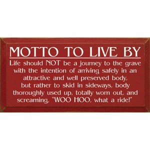 Slickblue Inspirational Wood Wall Sign – Life Is A Ride Quote – Rustic Decor Accent – 9x18 Inches, Multi Color Options - 1 of 3