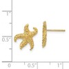 Black Bow Jewelry 13mm Textured and Cutout Starfish Post Earrings in 14k Yellow Gold - 4 of 4