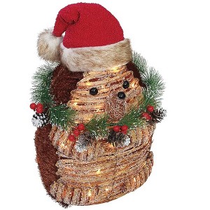 Holiday Living 18-inch Rattan Hedgehog Free Standing Christmas Decoration - 1 of 3