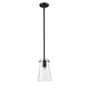 Kira 1-Light Pendant - Modern Steel Design with Clear Glass Shade, Dimmable, 60W - 3 of 4