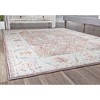 Rugs America Atlas Transitional Vintage Area Rug - 3 of 4