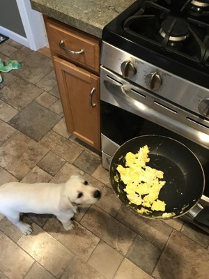 Guest review image 1 of 1, zoom in