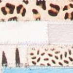 ivory/blue