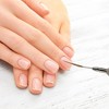 Unique Bargains Nail Painting Brushes for Polish Painting Home DIY Brown 1 Pc - 2 of 4