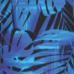 blue electric palm