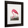 Trademark Fine Art - Pictufy  Pink Flamingo From Birds of America 1827 Matted Framed Art - 3 of 4