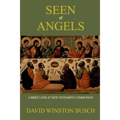 Seen of Angels - by  David Winston Busch (Paperback)