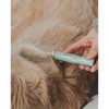 Dexypaws: Stainless Steel Pet Comb - Sage Green, Dog & Cat Grooming Tool - 4 of 4