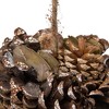 Northlight 5" Glittery Copper Round Pine Cone and Leaves Hanging Christmas Ornament - 4 of 4