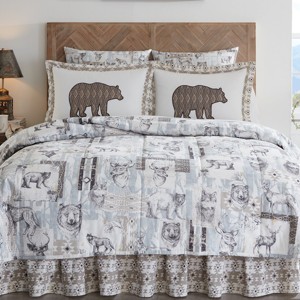 Park Designs Wild And Beautiful Queen Bedskirt - 1 of 3
