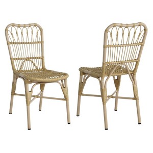 Christopher Knight Home Gail Modern Outdoor Rattan and Metal Dining Chair (Set of 2) - 1 of 4
