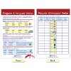 NewPath Learning Parts of Speech Bulletin Board Activity Chart Set - 2 of 4