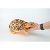 Collectible Wildlife Gifts | Box Turtle, Plush Animal, Soft, Stuffed Reptile Realistic, Beautiful Turtle Design, Figure, Lifelike, Replica, Gift,  11 - 2 of 4