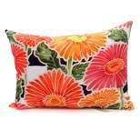 Home & Garden Gerbera Daisy Stripe Pillow Indoor Outdoor Flower Manual Woodworkers And Weavers  -  Decorative Pillow