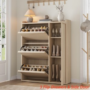 Shoe Cabinet with 2/3/4/6 Flip Drawers/ with 3 Flip Drawers & Side Door, Wooden Shoe Organizer w/Adjustable Shelf, Shoe Storage for Entryway - 1 of 4