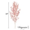 Uniquewise Preserved Real Floral Stems Chic Vase Fillers & Accents for Bouquets Centerpieces - 3 of 4